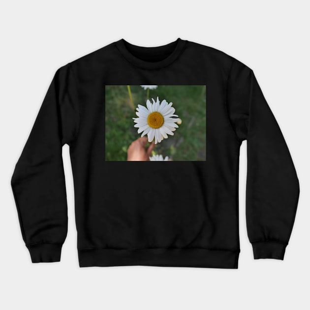 Daisy flower with its yellow disk Crewneck Sweatshirt by fantastic-designs